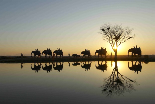 Photo courtesy of Holiday Bug african trip preen