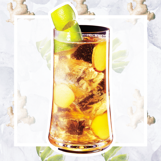 4 hennessy cognac ginger ale preen