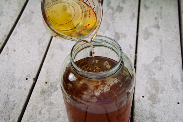 2 kombucha cane vinegar preen