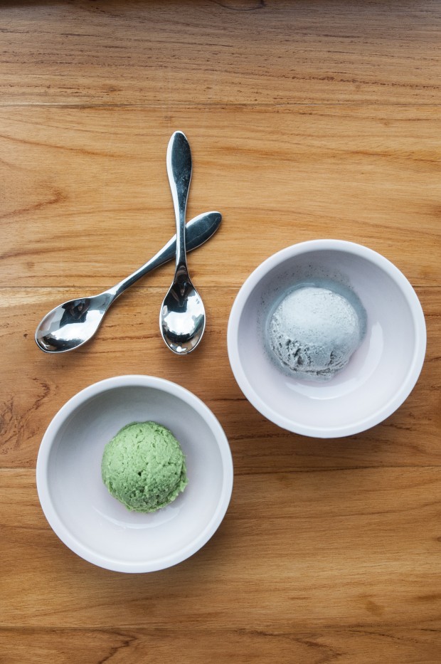 Green Tea ans Black Sesame Ice Cream