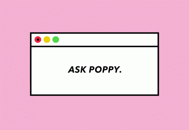 ask poppy is wooing your professor worth it preen