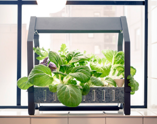 ikea hydroponic indoor garden preen