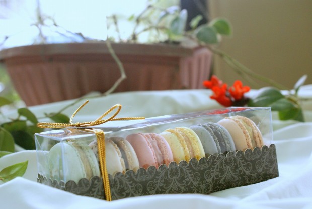 3 Le Jardin_macarons preen