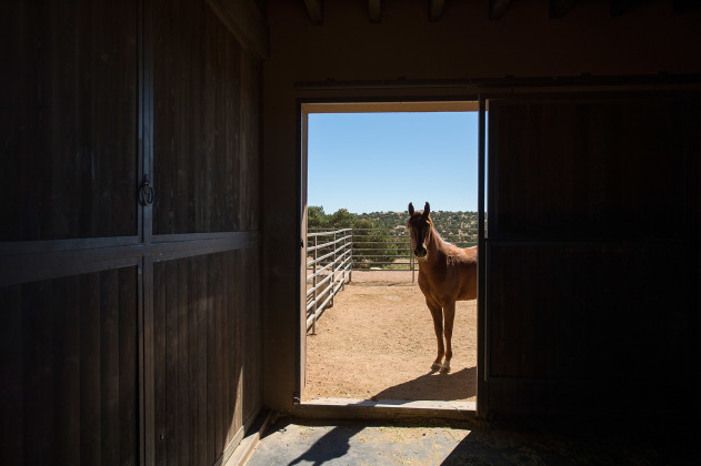 tom ford ranch tadao ando preen 6