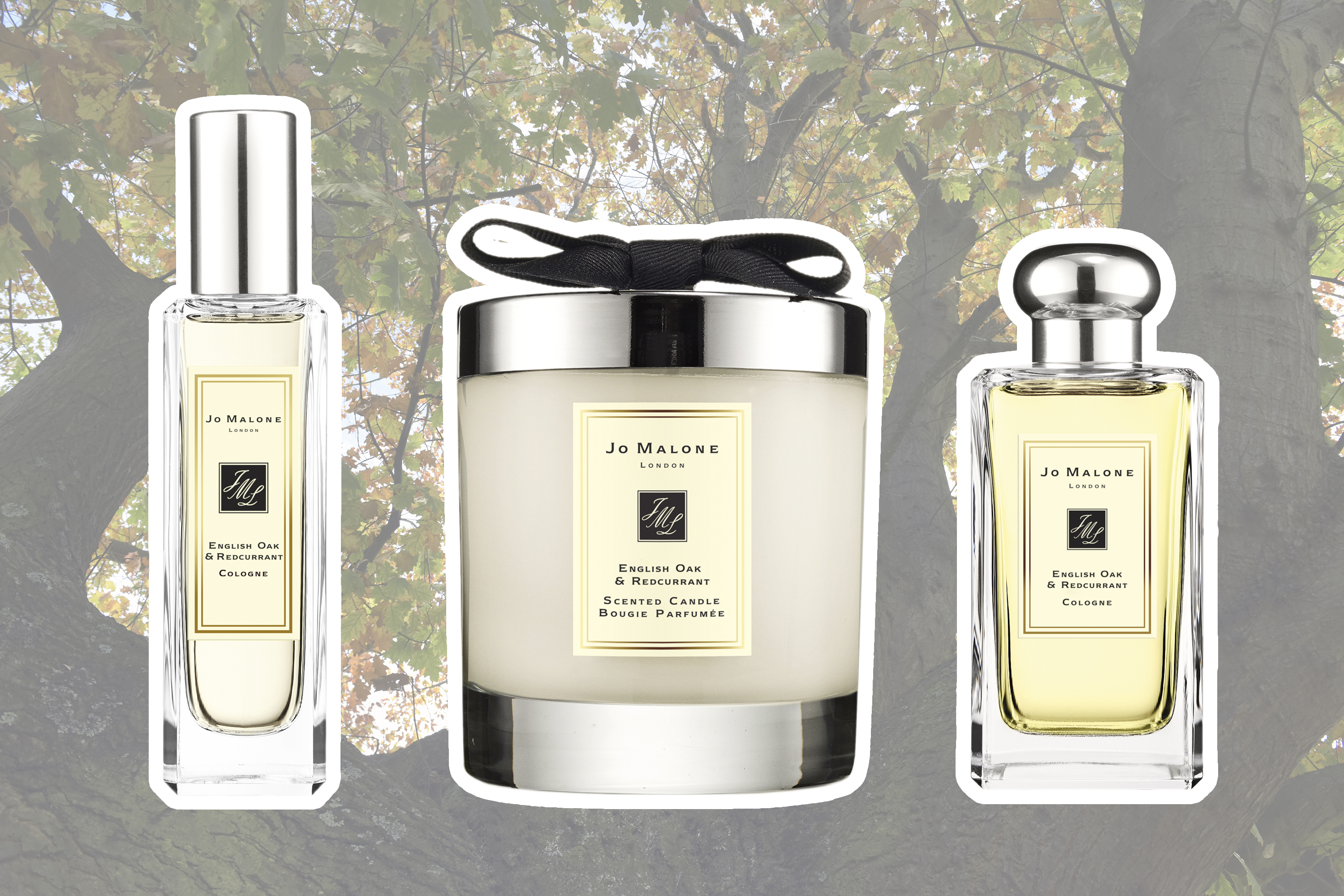 JoMalone_EnglishOak_RedCurrant