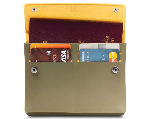 pacsafe passport holder