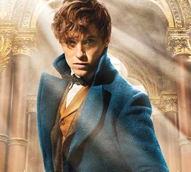 eddie redmayne fantastic beasts and where to find them