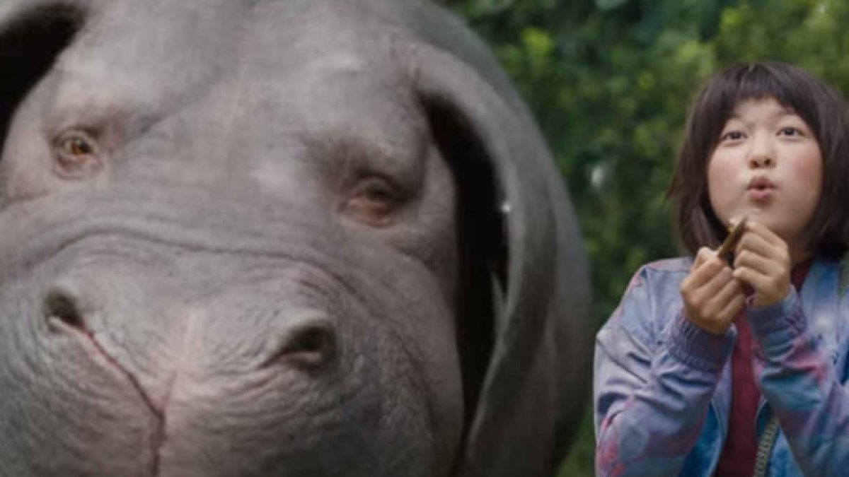 Now on Netflix: Okja (TV-MA) – A Movie Lovers Review