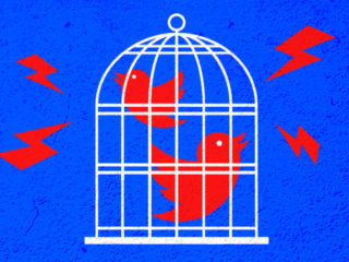 Bird Cage twitter