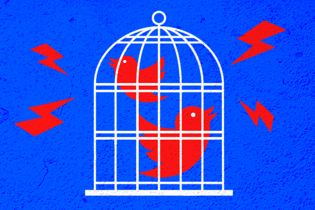 Bird Cage twitter
