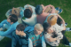 preen stray kids virtual hangouts globe
