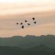 preen no to kaliwa dam petition