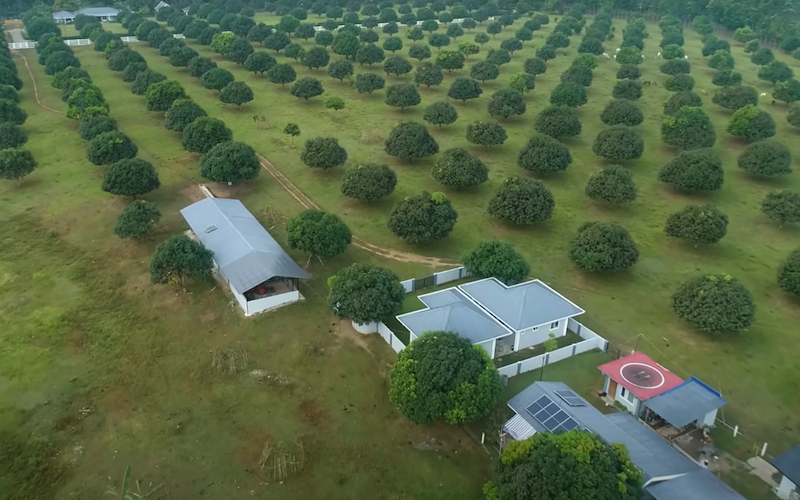 bea alonzo farm 