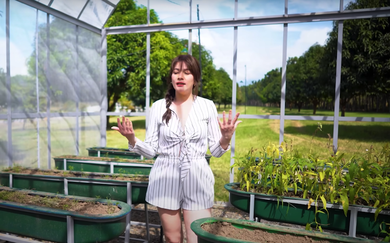 bea alonzo farm greenhouse