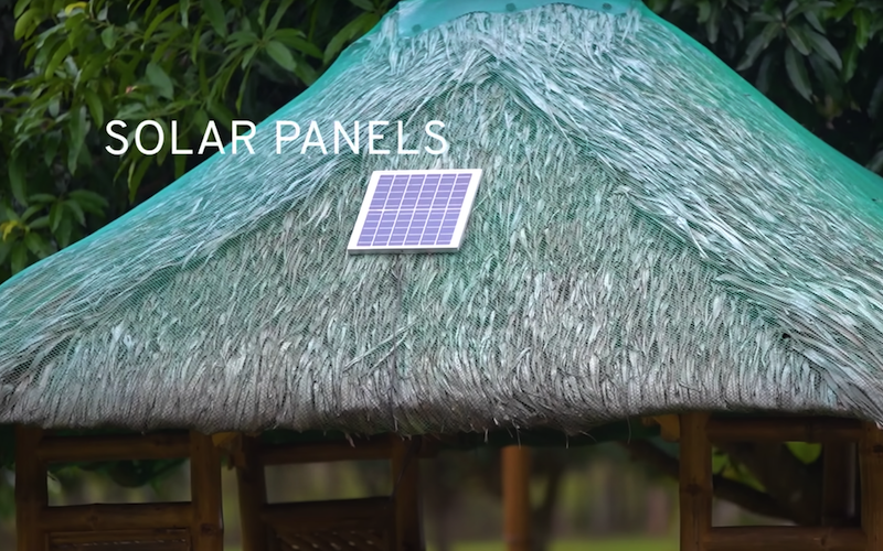 bea alonzo farm solar panel