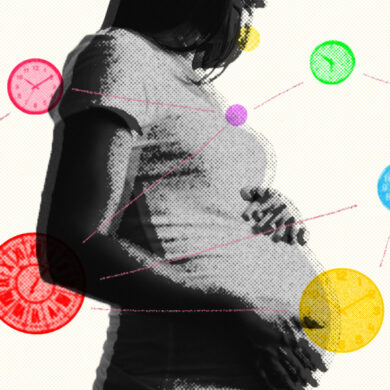 preenph biological clocks pregnancy motherhood