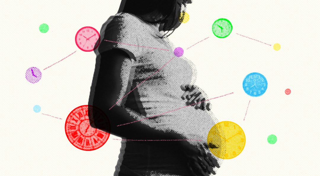 preenph biological clocks pregnancy motherhood